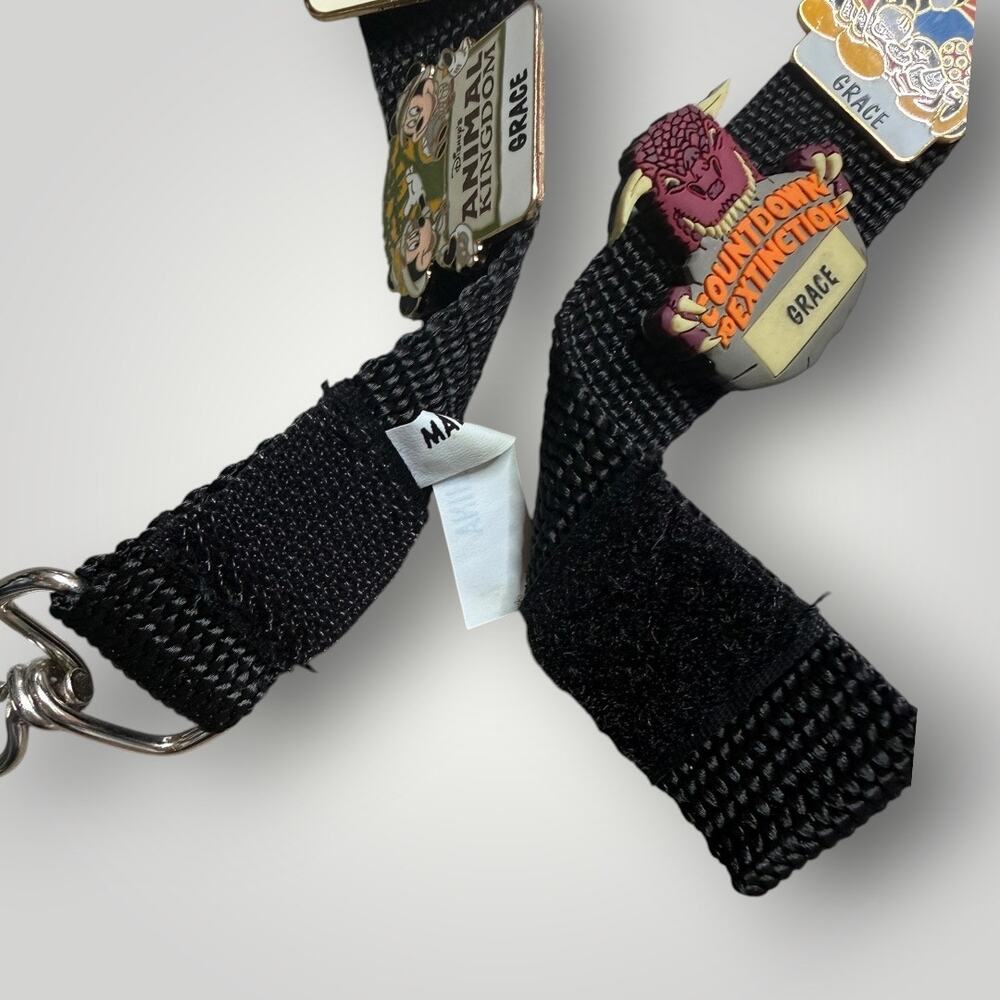 Vintage Disney 11 Pin Lot Lanyard Walt Disney World 2000 Animal Kingdom Mickey - Picture 8 of 9